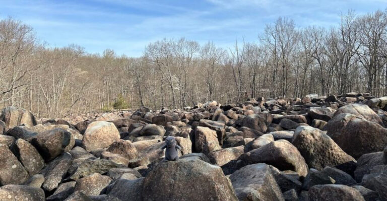 This Unique Pennsylvania Boulder Field Creates Bell-Like Sounds From The Rocks