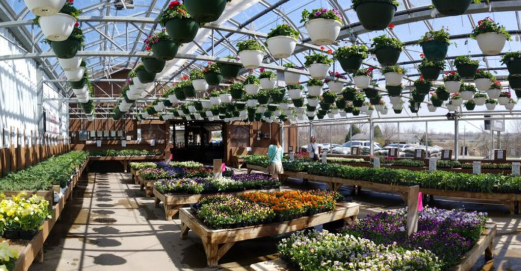 This Vibrant Michigan Greenhouse Makes Buying Plants Feel Like a Mini Vacation
