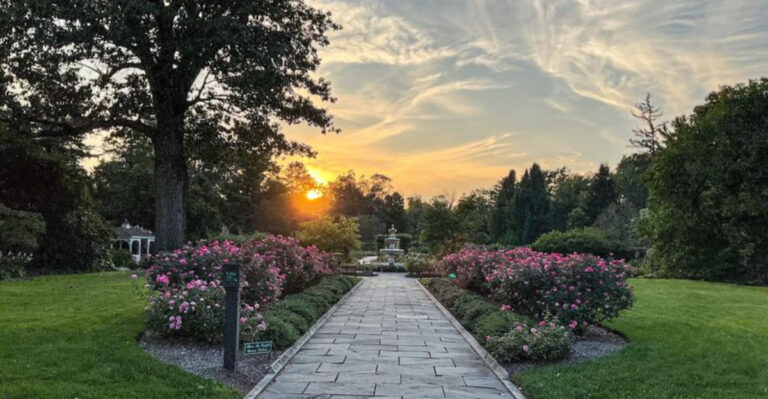 Thousands Of Roses Are Blooming At This Underrated New Jersey Garden