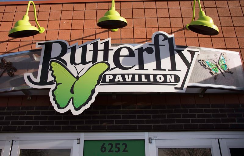 Why Butterfly Pavilion Works So Well in Colorado Why Butterfly Pavilion Works So Well in Colorado