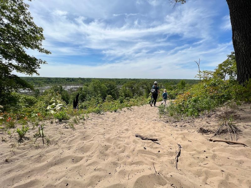 Dune Ridge Trailhead at Indiana Dunes National Park (Porter County) Dune Ridge Trailhead at Indiana Dunes National Park (Porter County)