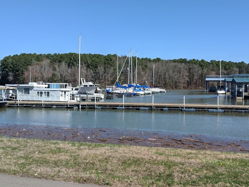 Paris Landing State Park – Buchanan