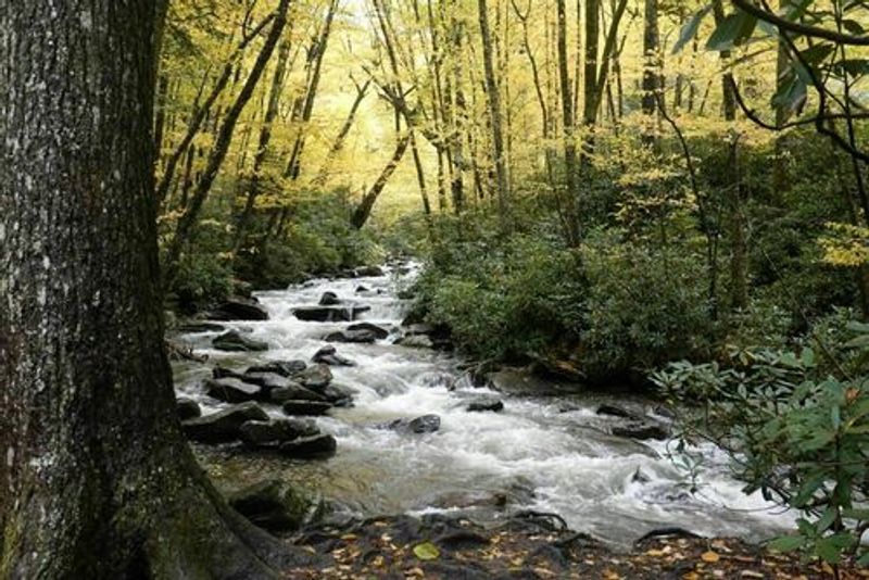A Creekside Start That Pulls You In A Creekside Start That Pulls You In