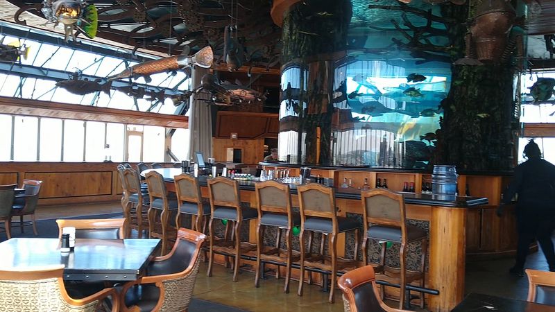 The Aquarium Bar Centerpiece The Aquarium Bar Centerpiece