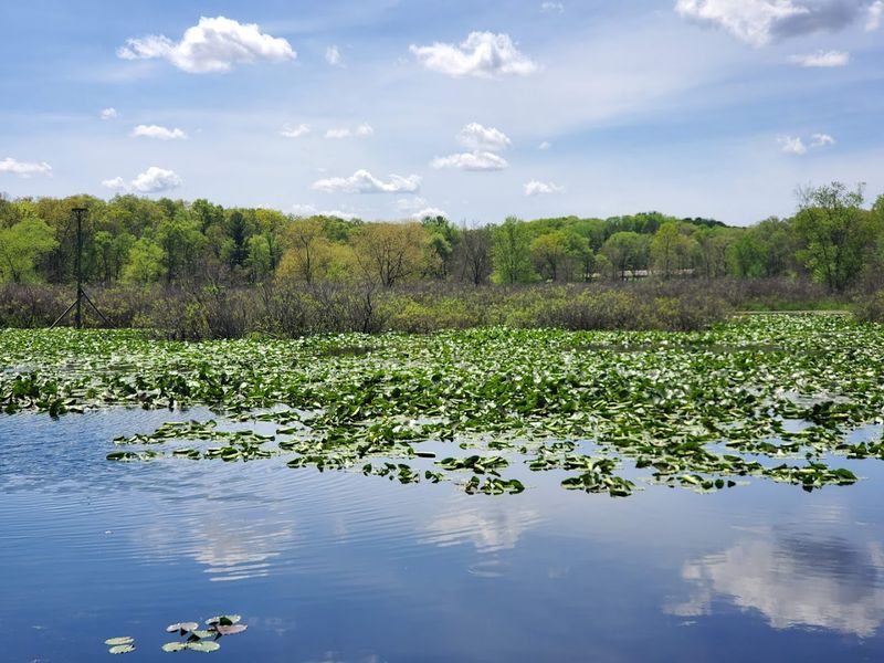 Tippecanoe River State Park (Pulaski County) Tippecanoe River State Park (Pulaski County)