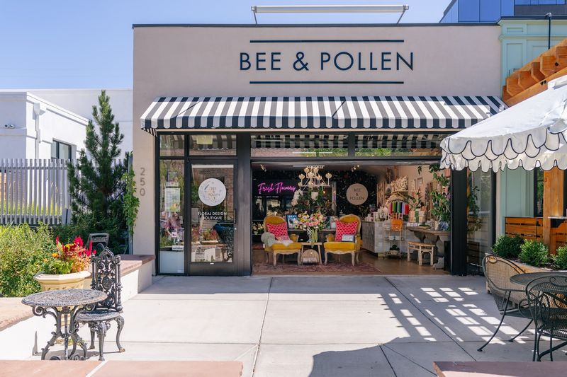 Bee & Pollen (Denver)