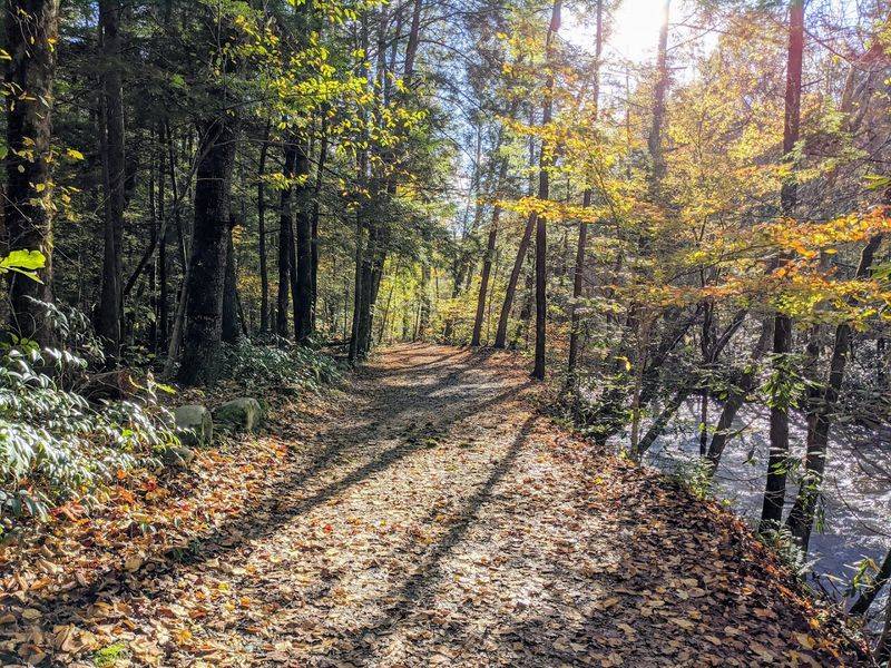 The Gatlinburg Trail — Great Smoky Mountains National Park The Gatlinburg Trail — Great Smoky Mountains National Park