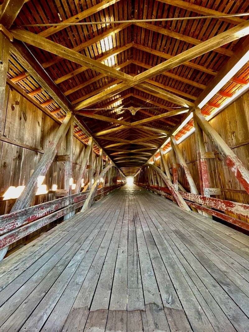 Inside the Timber Tunnel Inside the Timber Tunnel
