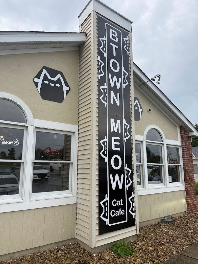 Btown Meow Cat Cafe (Bloomington)