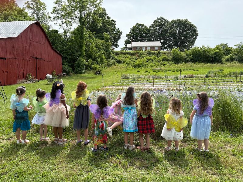 Stunning Views And Picture-Perfect Barn Setting Stunning Views And Picture-Perfect Barn Setting