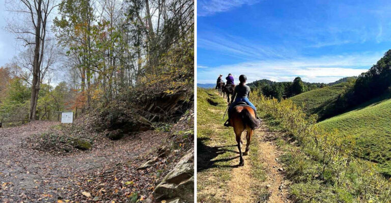 You Can Only Reach This Hidden North Carolina Gem Mine on Horseback
