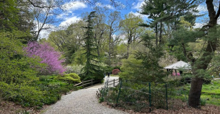 You Don’t Have to Be a Hiker to Love These 15 Chill New Jersey Walks