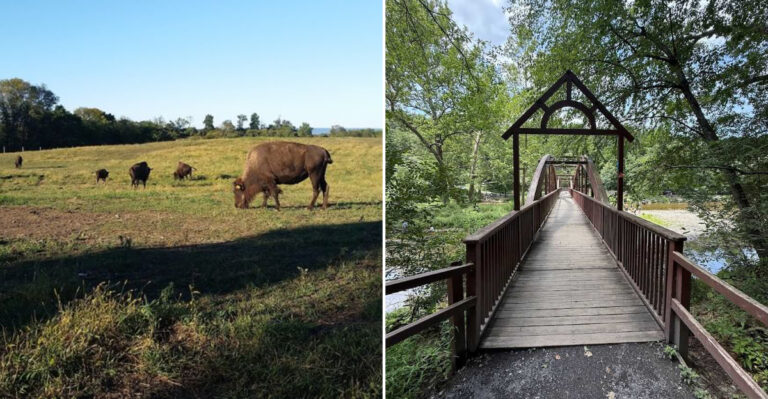 You Have to Experience This Stunning Ravine Hike in Pennsylvania For Yourself