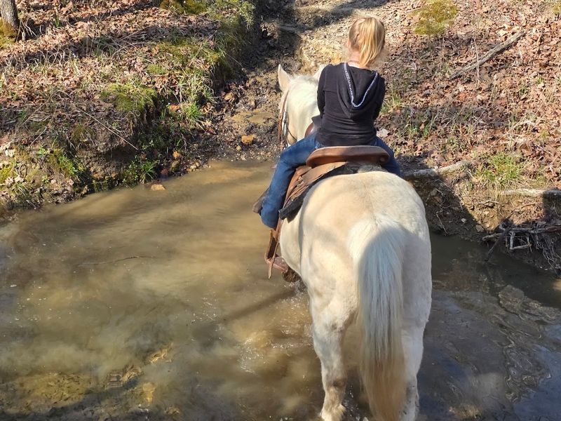 Mountain Harbor Riding Stables (Mount Ida)