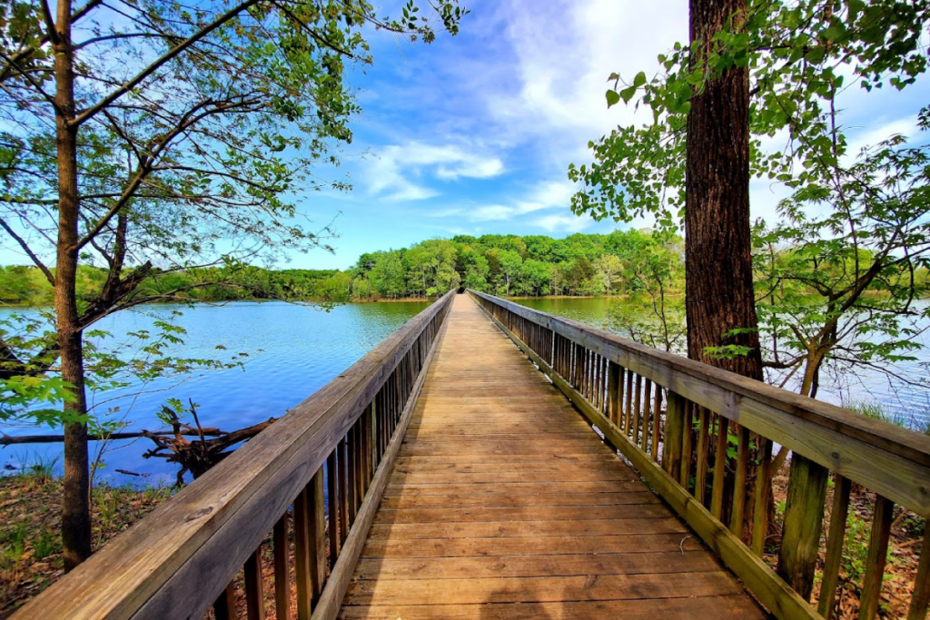 10 Senior-Friendly Tennessee Hikes That Do Not Skimp on the Views