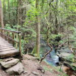 10 Tennessee Narnia Trails That Look Straight Out Of A Fantasy Story