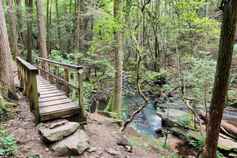 10 Tennessee Narnia Trails That Look Straight Out Of A Fantasy Story