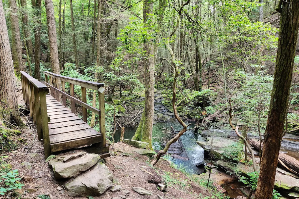 10 Tennessee Narnia Trails That Look Straight Out Of A Fantasy Story