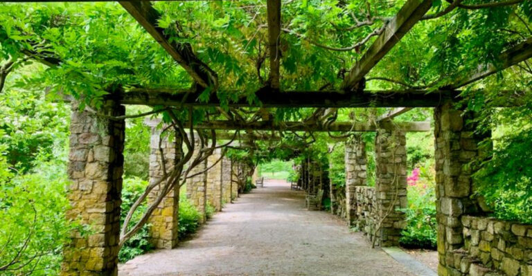 10 Hidden New Jersey Wonders That Feel Miles Away From Real Life