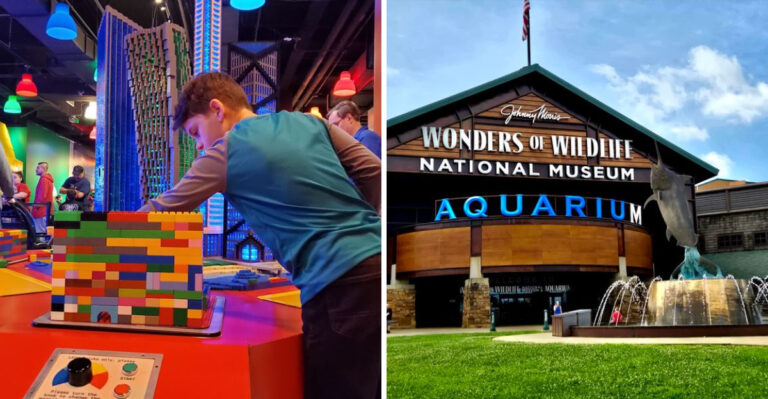 10 Incredible Indoor Destinations Across Missouri You Need to See in 2026