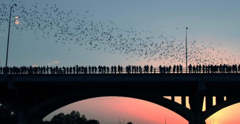 10 Incredible Texas Adventures That Won’t Cost You a Dime