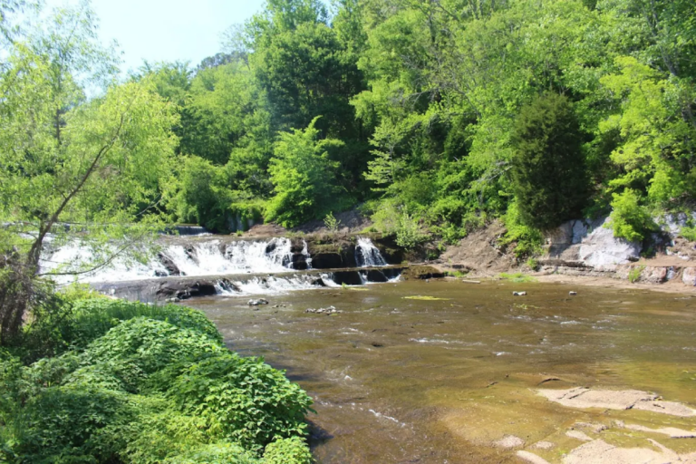11 Tennessee Parks Where You Can Cool Off Without Going To The Smokies