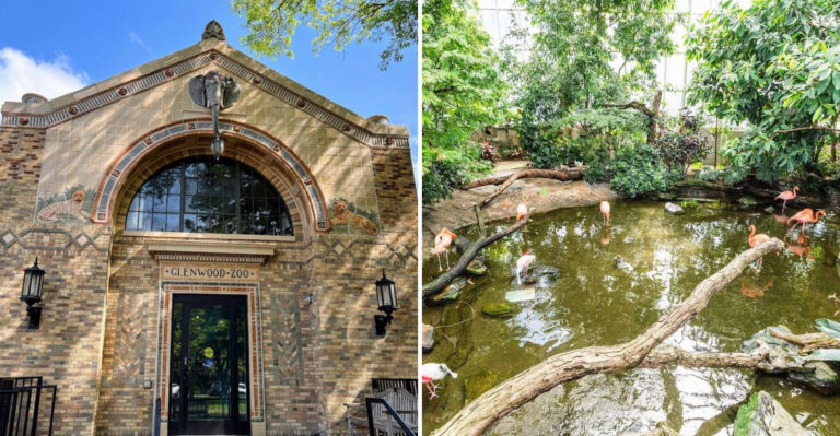 11 Aquariums Across Pennsylvania That Feel Like an Underwater Adventure