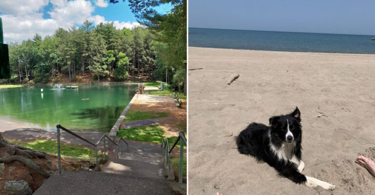 11 Dog-Friendly Beaches In Pennsylvania Perfect For Your Next Pet Adventure