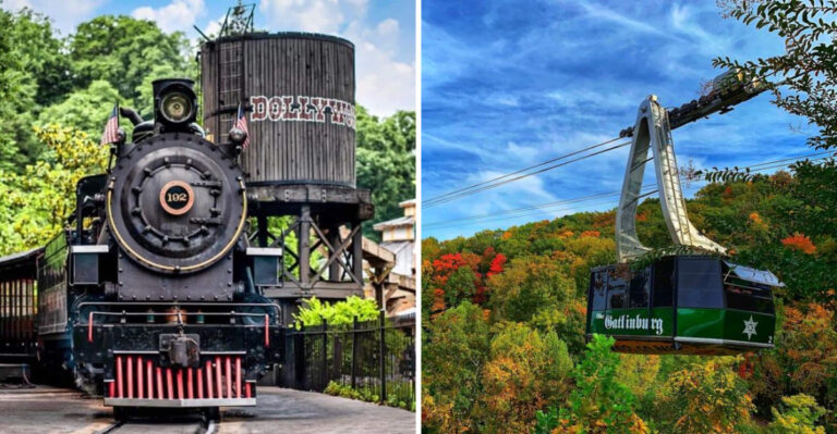 11 Family-Friendly Attractions Making Waves in Tennessee Right Now