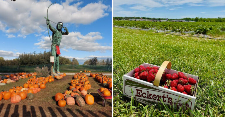 11 Illinois Farm Stands You’ll Want To Visit Before Summer Ends