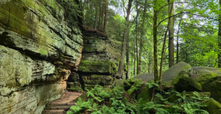 11 Ohio Hiking Trails That Are Truly Worth Braving The Ticks For