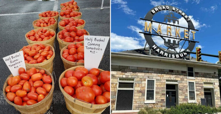 11 Pennsylvania Markets to Visit for the Best Seasonal Fruit