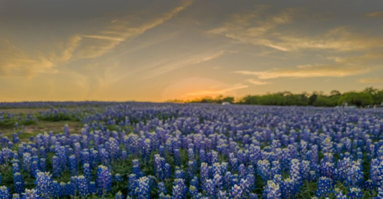 11 Unforgettable Things Every Texan Should Do in Their Lifetime