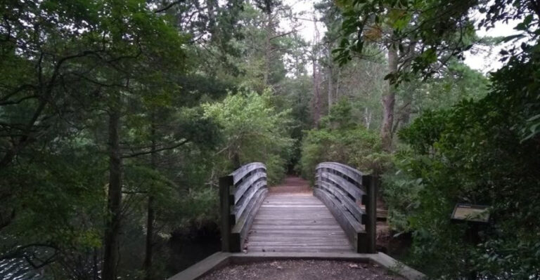 12 New Jersey Boardwalk Trails That Aren’t At The Beach