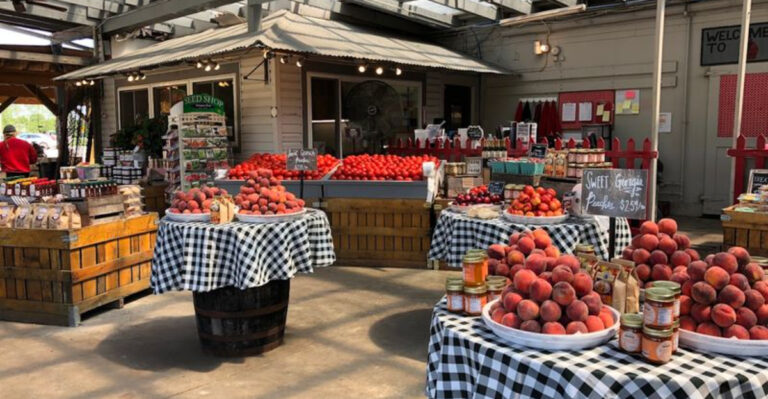 12 Ohio Pie Stops With Fruit-Filled Slices Worth A Summer Detour