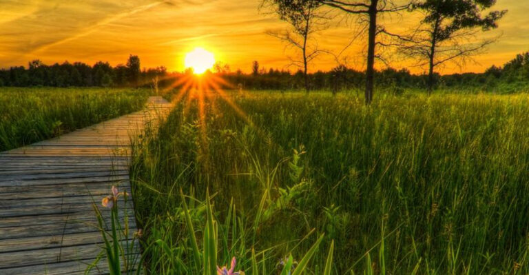 12 Ohio Prairie And Meadow Trails Worth Exploring This July