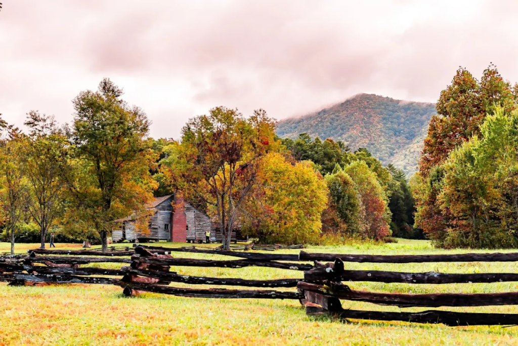 13 Tennessee Adventures That Prove A Great Day Out Can Still Cost Less Than $20