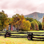 13 Tennessee Adventures That Prove A Great Day Out Can Still Cost Less Than $20