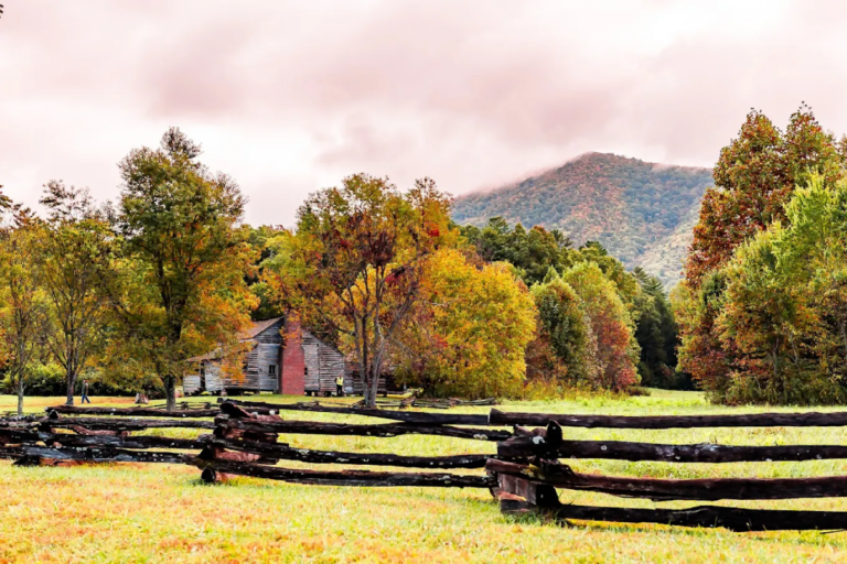 13 Tennessee Adventures That Prove A Great Day Out Can Still Cost Less Than $20
