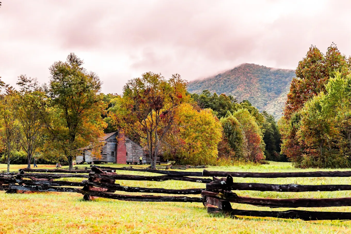 13 Tennessee Adventures That Prove A Great Day Out Can Still Cost Less Than $20