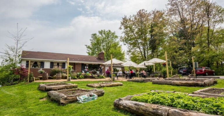 13 Hidden Ohio Dining Rooms That Stay Busy Without Advertising In 2026