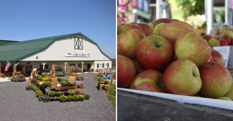 13 Pennsylvania Fruit-Picking Destinations Perfect for a Weekend Outing