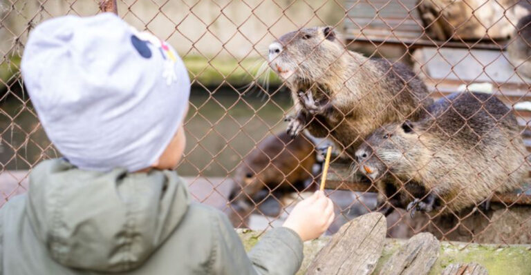 13 Wildly Fun Zoos in New Jersey and Nearby