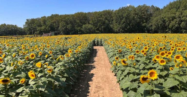 14 Gorgeous Farms and Gardens Hiding Near the New Jersey Shore