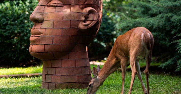 15 New Jersey Spots That Feel Like A Secret Even When They’re Not