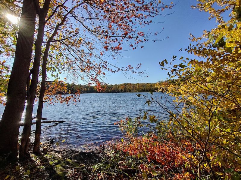 Chain O' Lakes State Park (Albion) Chain O' Lakes State Park (Albion)