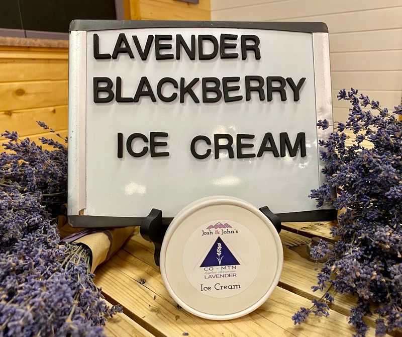Order the Lavender Treat Before You Do Anything Else Order the Lavender Treat Before You Do Anything Else