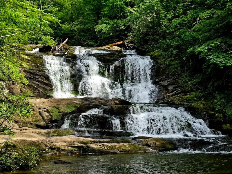 Cherokee National Forest