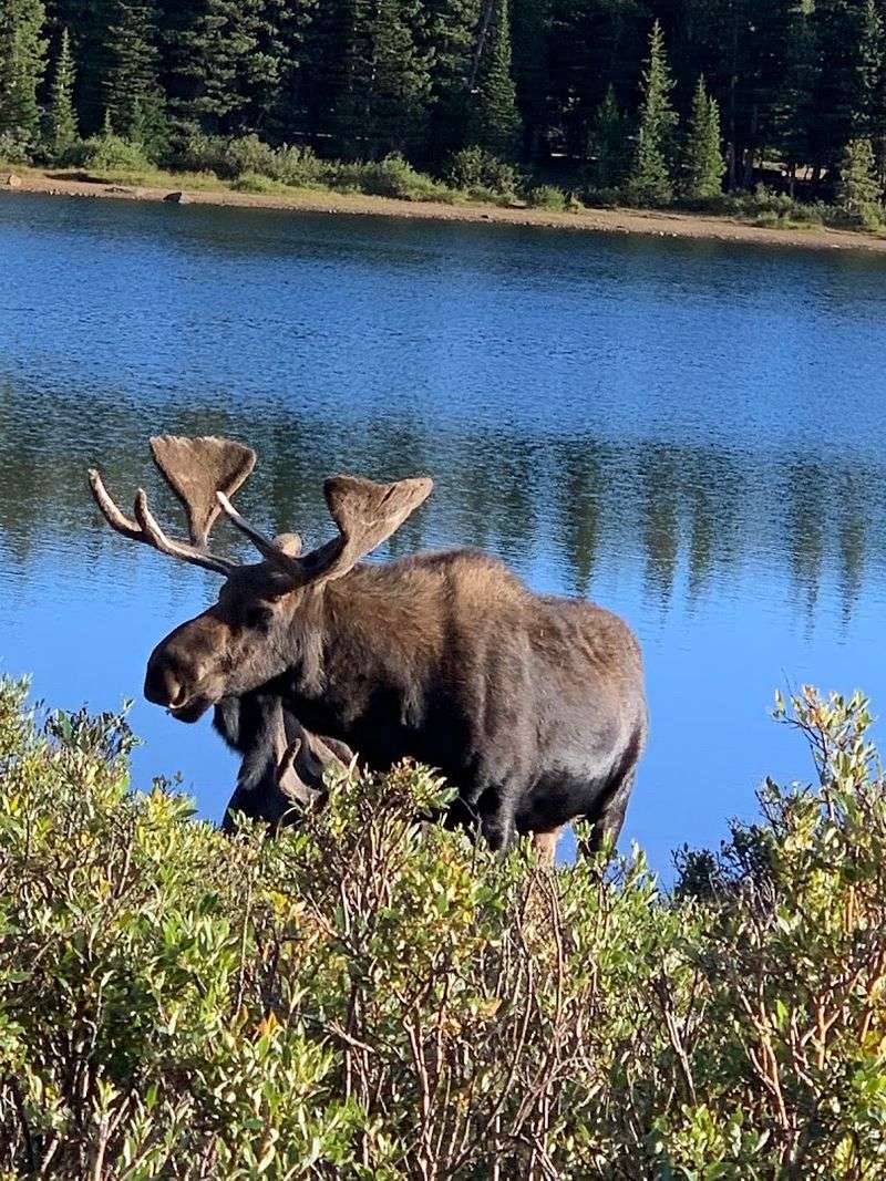 Colorado Wildlife and Weather Keep You Alert