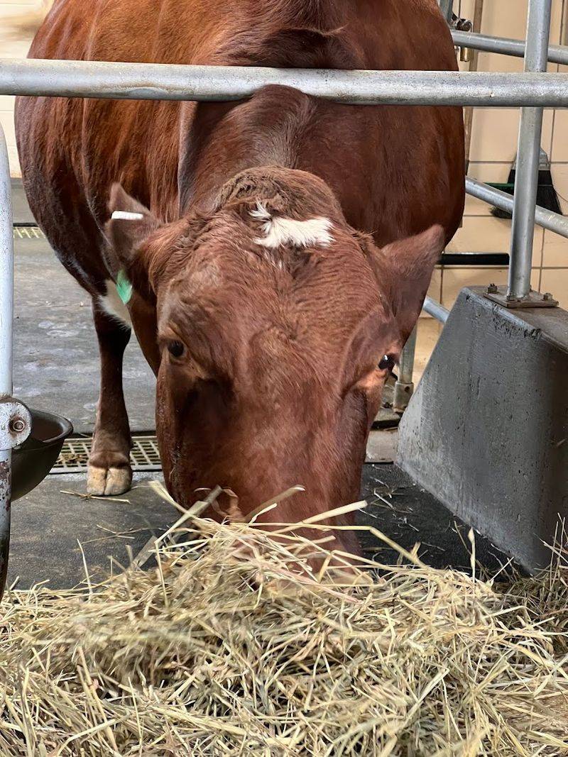 The Farm-in-the-Zoo That Changes the Whole Day The Farm-in-the-Zoo That Changes the Whole Day